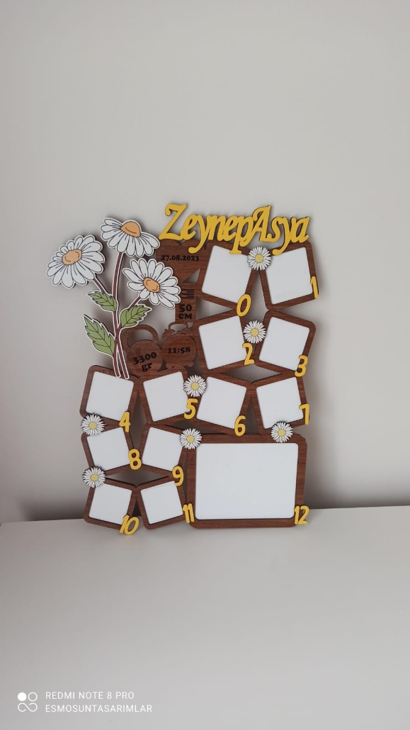 12 AY ÇERÇEVE ÇOCUK PANO